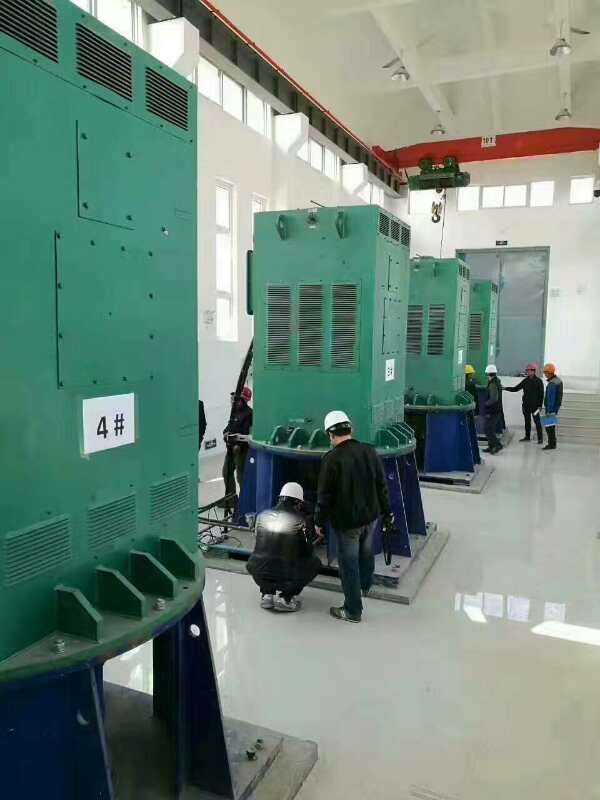 山丹某污水处理厂使用我厂的立式高压电机安装现场